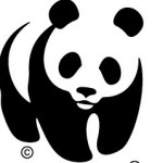 WWF