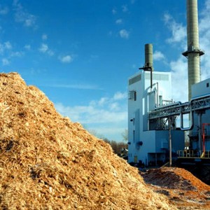 biomasse, Courtesy of images.com