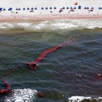 "Scenes from the Gulf of Mexico", Courtesy of Boston.com