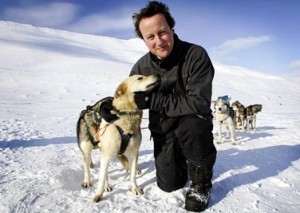David Cameron, Courtesy of topdogtips.com