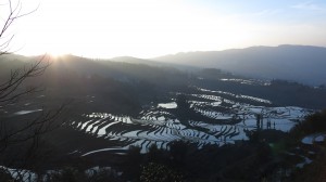 ricefield_yunnan4